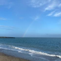 Language trip to Bray