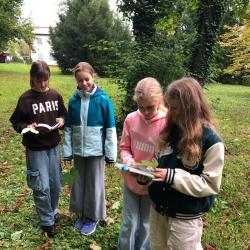 Alpakas im Schulpark
