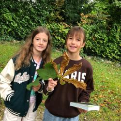 Alpakas im Schulpark