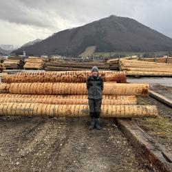 Berufspraktische Tage