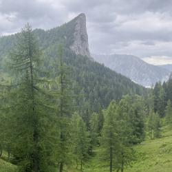 Naturerlebniswandertag NEWT