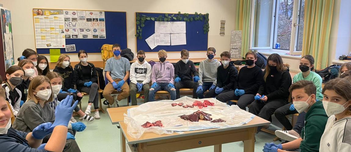 4a Klasse beim Sezieren und Experimentieren