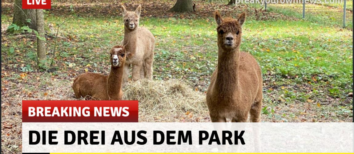 Die Drei aus dem Park