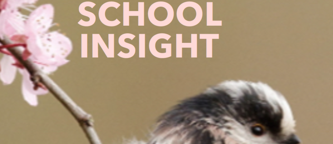 School Insight 3/2024