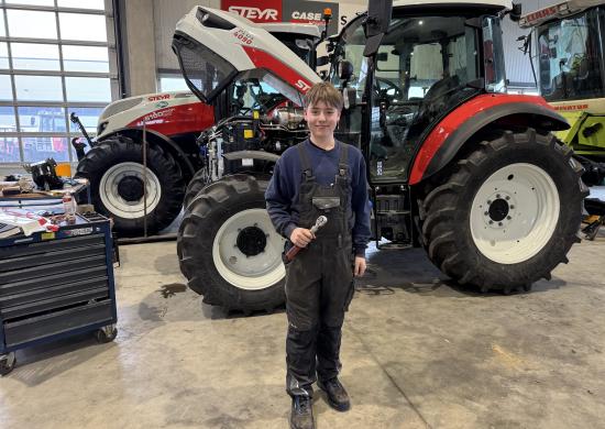 Berufspraktische Tage